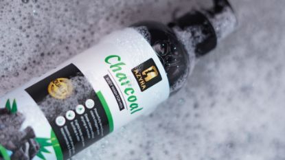 Picture of Charcoal Body Wash